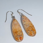 Fossil Coral Sterling Silver Earrings